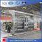 H type automatic galvanized layer chicken battery cage