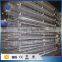 30 Years' factory supply baby chicken cage layer