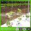 Cucumber Plastic Plant Support Net 100% virgin material Plastic trellis net plant climbing support netting/Plastic net