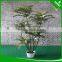 artificial plant cedrela tree for decoration