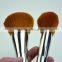 Nice Makeup Brush Set / Cosmetic Make Up Brush 10pc