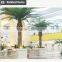 Outdoor palm tree artificial customized design tree
