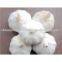 fresh China garlic 500g/mesh bag