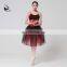 11314411 ballet tutu romantic