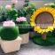 Amazon ebay Hot sell! Pet shop accessories wholesale price fashion cactus plant toys Cactus cat climbing frame tree toys