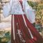 Chinese traditional dress Hanfu chinese traditional clothing