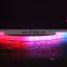 Outdoor decorative neon light wall art 24V neon led strip light with IP67