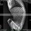 MY-W004B Vet x Ray Machine Analogue or Digital Radiography System Veterinary Medical X-ray Equipments