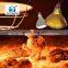 Energy efficient heat lamp for pig farm chicken house