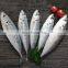 frozen small eye horse mackerel decapterus maruadsi round scad