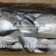 Frozen wholesale moon fish with size 150 - 200 g