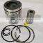 6CT Diesel Engine Part Engine Piston Kit 3919565