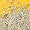 Factory Direct Sale Ball Shape Clumping Different Scents Premium Bentonite Cat Litter Sand