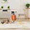 Spinning Cat Toy and Comb hair For Pet
