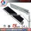 led landscape light balcony hanging solar power system solar cob led street light