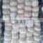 ISO9001 garlic for export,for selling,for cooking,clear garlic, year garlic,fresh garlic, chinese garlic