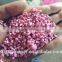 Recycle PP /virgin polypropylene homopolymer for Injection Grade