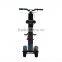 Mini Electric Folding Scooter Lithium Battery Foldable ebike