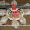 poultry broiler feeder good quality