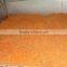 Mesh belt dryer for carrot