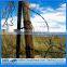 2mm electro galvanized barbed wire/y shaped fence with barbed wire/electro galvanized barbed wire