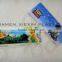 Carton Printed Plastic Hanging Tag,pp tag,pvc tag
