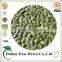 Common Type Chinese Pumpkin Seeds Kernel /Snow White Pumpkin Kernel