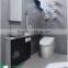 Western Toilet Protection From Dirt Control Water Temperature