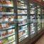 glass door display freezer remote compressor