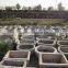 antique stone troughs and pot