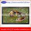 42 46 47 52 55 inch cctv portable lcd monitor vga with HDMI/VGA