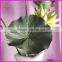 PU artificial lotus leaf
