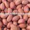 All kinds of large type peanut kernels