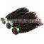 Hot Selling 7a Kinky Curly Weaving Hair 3pcs Mongolian Afro Kinky Curly Virgin Hair Malaysian Hair Weave 3Pcs Lot Weave Bundles