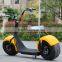 sport electric scooter citycoco off road city scooter