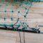 Goat farming electric fencing