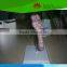 Medical model for biology Colon and rectum common disease model