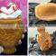 (3 in 1) 6pcs Fish Waffle Commercial Use Non-stick LPG Gas Icecream Taiyaki Baker + Batter Dispenser + Stuffing Scoop