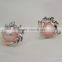 White Natural Genuine Cultured Freshwater Pearl Earrings