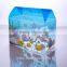 fancy custom printed clear pvc pp pet gift box
