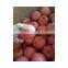 Chinese Red Fuji Apple Suitable for Long Time Shipment