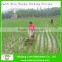Manual Rice Transplanter Price in Thailand