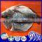 Frozen Tilapia Butterfly Filet