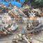 Used OM442/OM442A/OM442LA V8 Engine for Germany truck