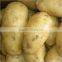 Fresh Potatoes for sale