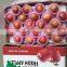 China Qinguan Apple