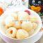 Chinese Special Canned Fruit Fresh Sweet Canned Lychee in Syrup