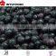 supply Chian fruite organic Frozen IQF black currants