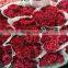 Real touch carnation flowers cut for wholesale