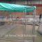 Large Chain Link Dog Kennel